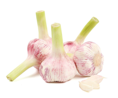 СО2 экстракт Чеснока водорастворимый