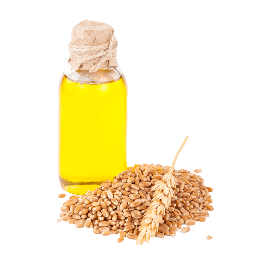 Масло зародышей пшеницы рафинированное оптом